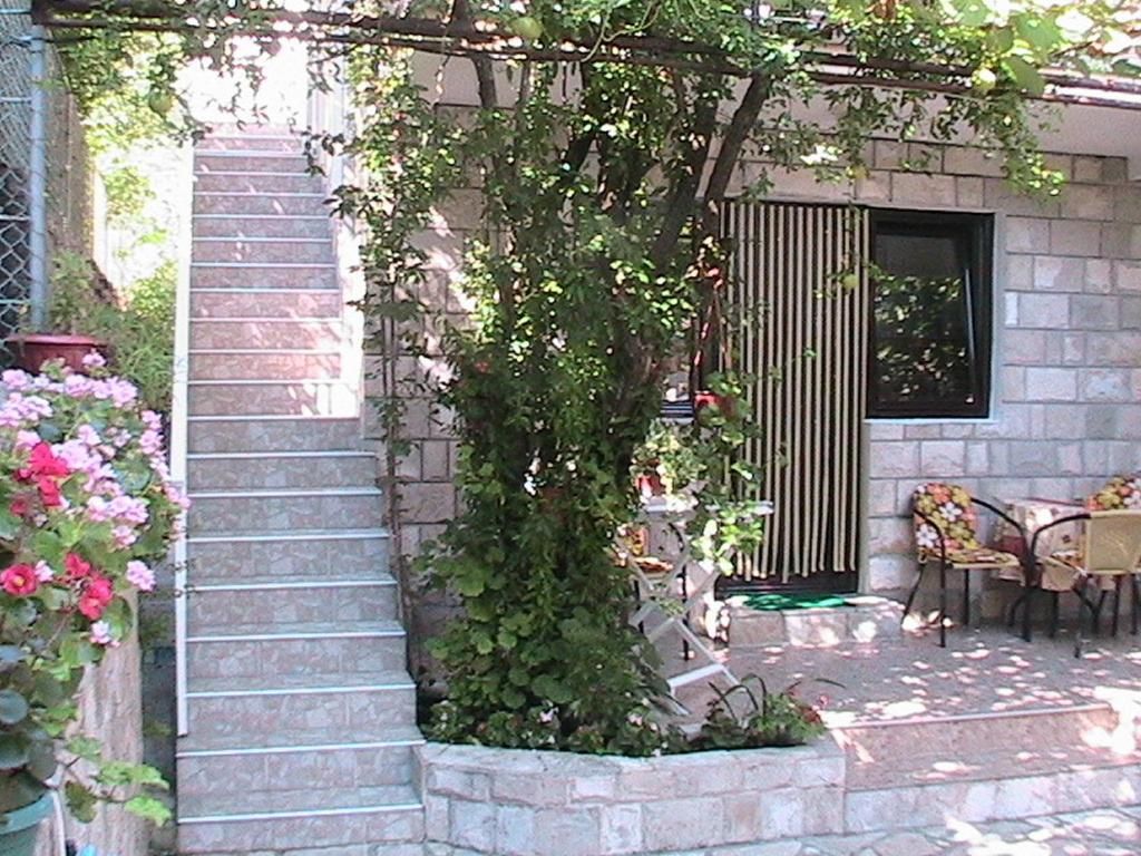 Апартаменты Apartments Penovic Котор